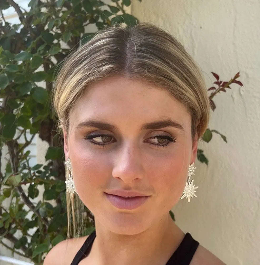 WS Silver Spark Earrings