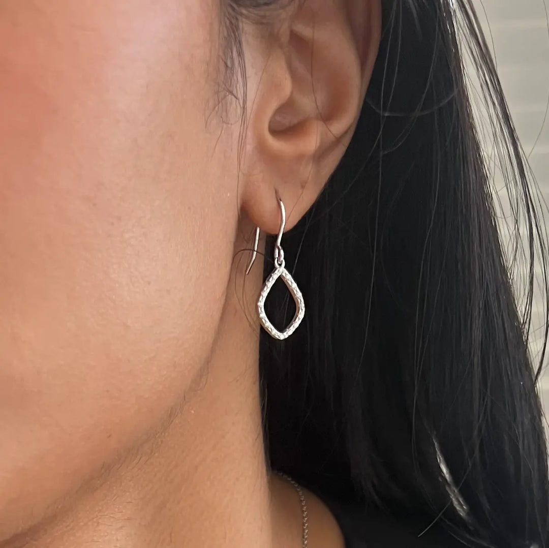 Rivière Diamond zirconia Sterling Silver Earrings