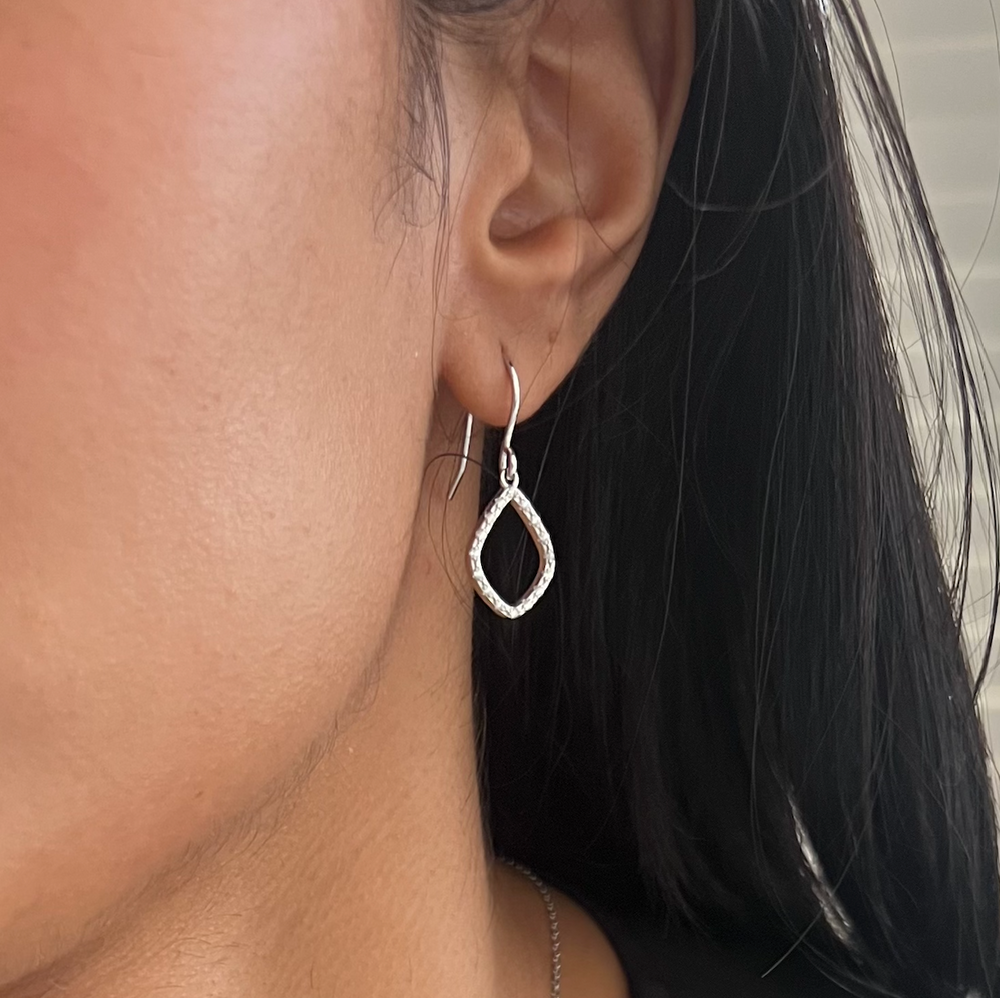 WS Rivière Diamond zirconia Sterling Silver Earrings
