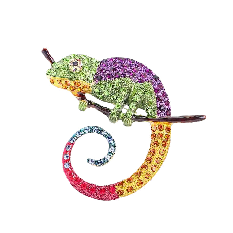 WS Le Chameleon Brooch