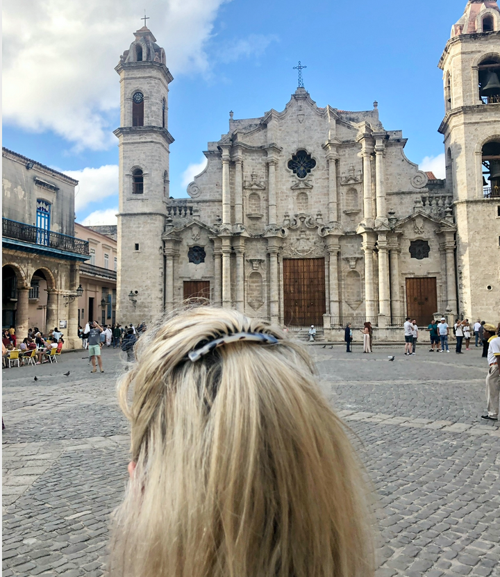 Acetate Comb in Light Turtle