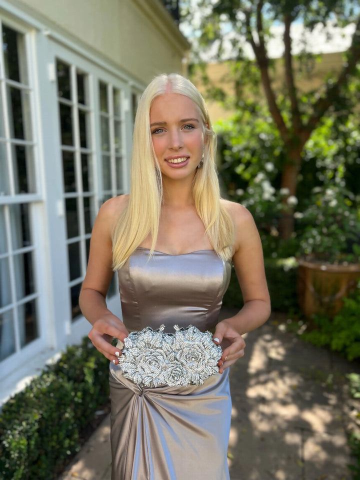 BellaRose diamond Silver Clutch Bag