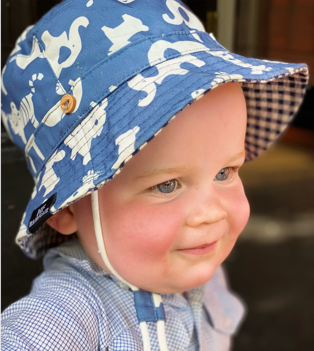 WS Hats - Kids Blue Animals 1-3yrs 754523536026