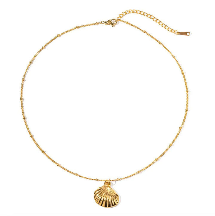 Nautilus Shell Necklace