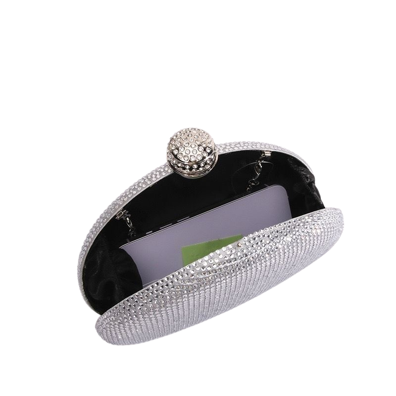 WS - Ella Clutch Hand Bag- silver