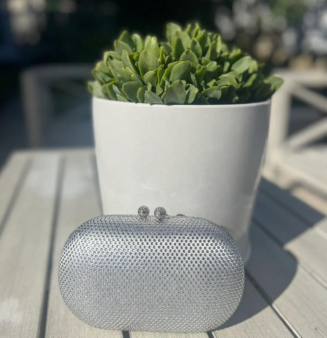 WS - Ella Clutch Hand Bag- silver
