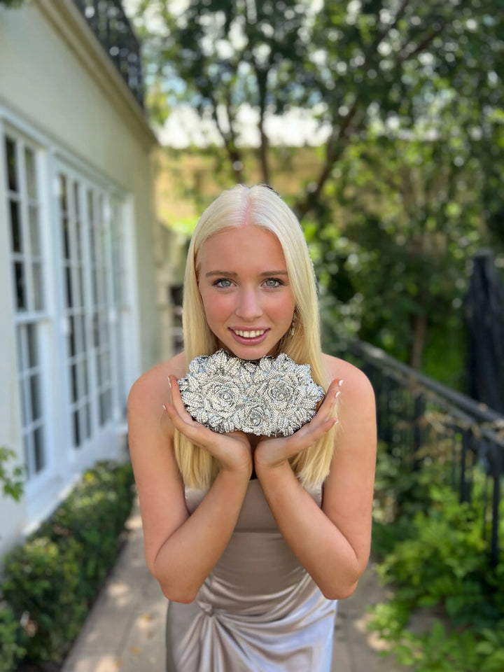 BellaRose diamond Silver Clutch Bag