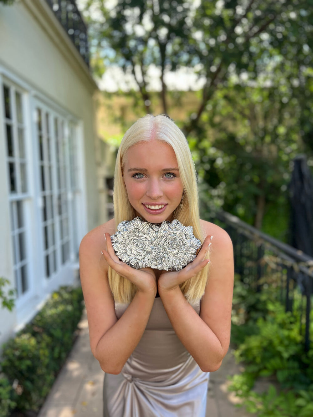 WS BellaRose diamond Silver Clutch Bag